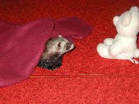 &copy; Copyright 2002 Marie Bartholdsson