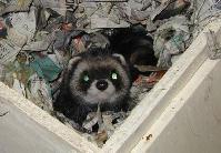 &copy; Copyright 2003 Marie Bartholdsson