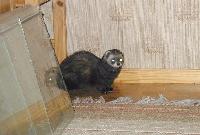 &copy; Copyright 2003 Marie Bartholdsson